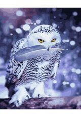 Snow owl 40cm*50cm (no frame)