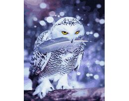 Snow owl 40cm*50cm (no frame)