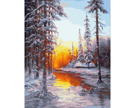 Winter forest  40cm*50cm (no frame) paint by numbers