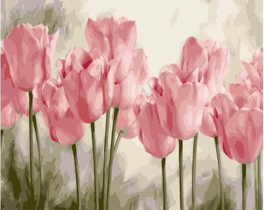 Pink tulips 40cm*50cm (no frame) paint by numbers