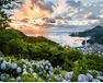 Sunset over the bay 40cm*50cm (no frame) paint by numbers