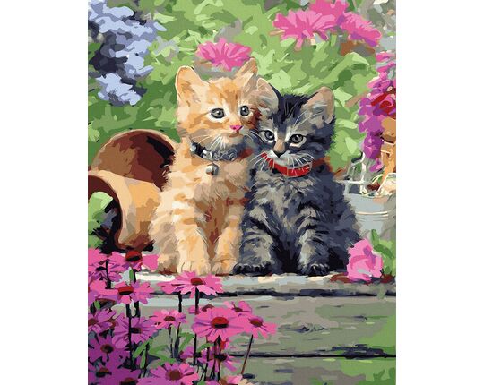 Kittens in a Sweet Embrace 40x50 cm paint by numbers