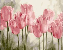 Pink tulips 50x65cm