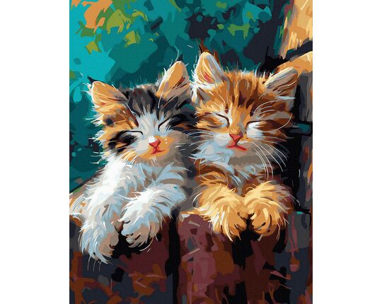 Nap 40x50 cm paint by numbers