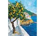 Golden Fruits of Greece 40x50 cm paint by numbers