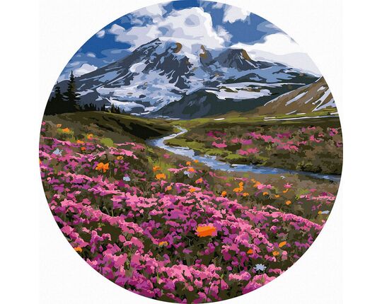 Blooming mountain meadows 40x40 cm on a round frame paint by numbers