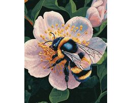 Sun on Wings 40x50 cm