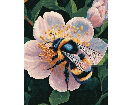 Sun on Wings 40x50 cm paint by numbers