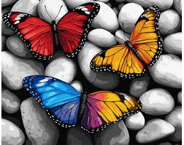 Stone Silence, Winged Colors 40x50 cm