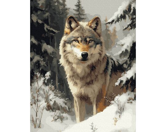 Winter Recon 40x50 cm paint by numbers