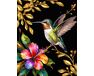 Hummingbird with Golden Accents 40x50 cm paint by numbers