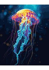 Jellyfish 50x65 cm