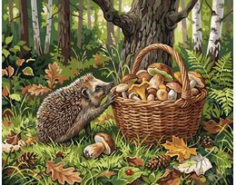 Curious hedgehog 40x50 cm