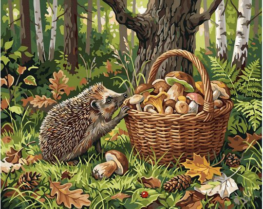 Curious hedgehog 40x50 cm paint by numbers