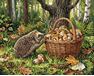 Curious hedgehog 40x50 cm paint by numbers