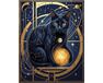 Fluffy guardian of the night 40x50 cm paint by numbers