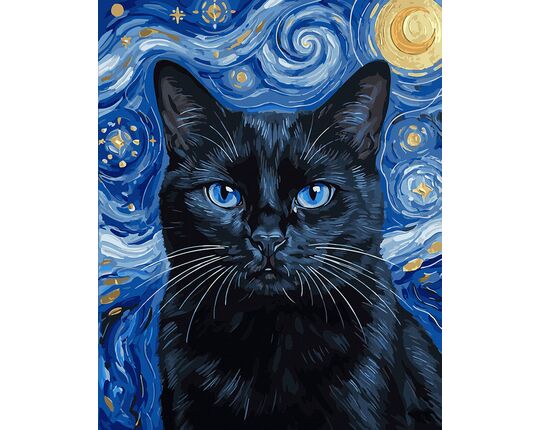 Black cat illuminated by a starry night 40x50 cm paint by numbers