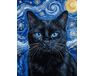 Black cat illuminated by a starry night 40x50 cm paint by numbers