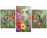 Beautiful fluttering hummingbirds Triptych 70x120 cm paint by numbers