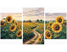 Bathed in sunlight Triptych 70x120 cm