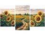 Bathed in sunlight Triptych 70x120 cm paint by numbers