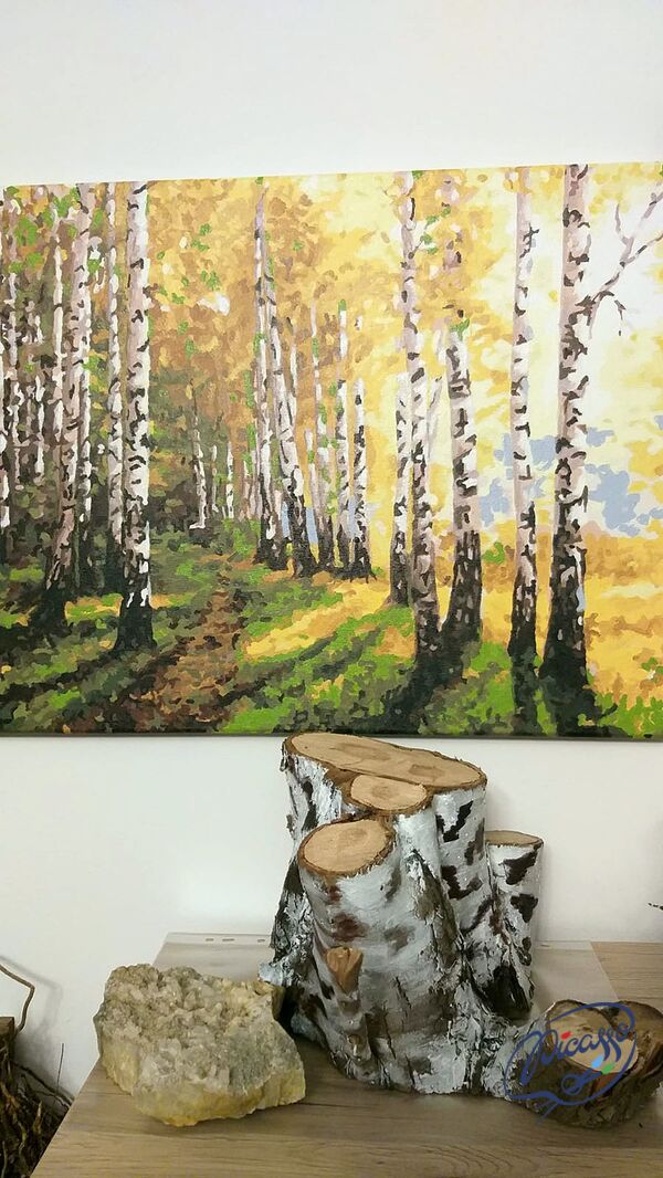 Sunny birches 40x50 cm