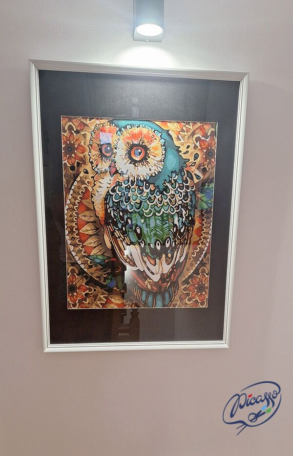 Owl ornament 40cm*50cm (no frame)