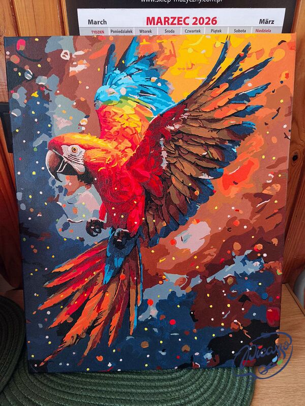 Dance with the Macaw 40x50 cm