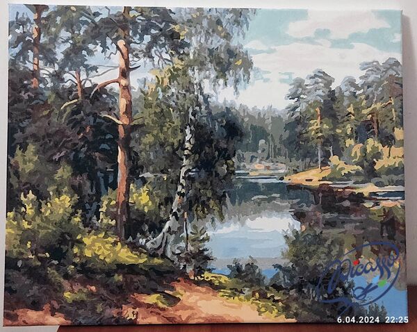 Forest River 40x50cm